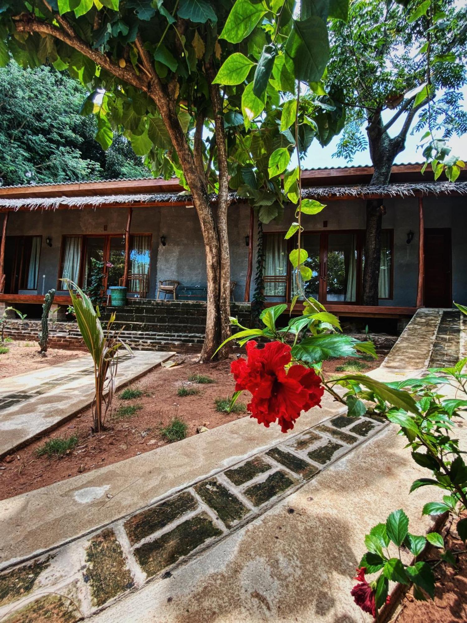 Basa-Basi Lodge Karimunjawa Exterior photo